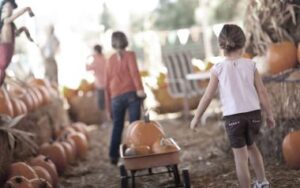 photo of children pulling wagon full of pumpkins